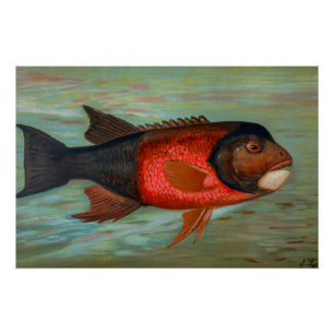 Pôster Sacramento Pike por John L Petrie