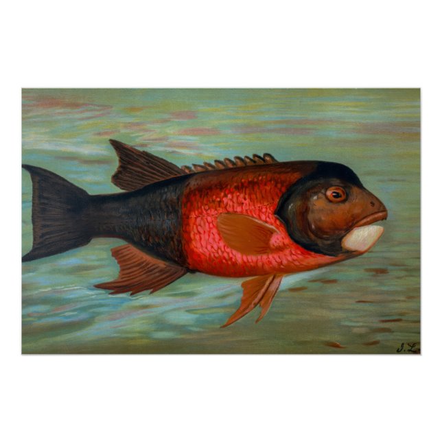 Pôster Sacramento Pike por John L Petrie (Frente)