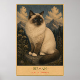 Poster Sacred Grace: Birman Cat