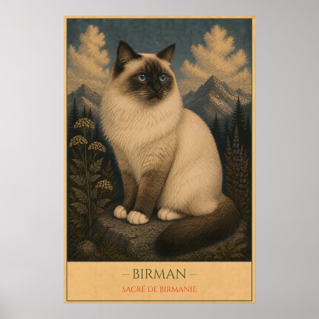 Poster Sacred Grace: Birman Cat (Frente)