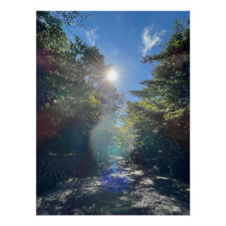 Pôster Sacred Light on a Forest Path in Japan