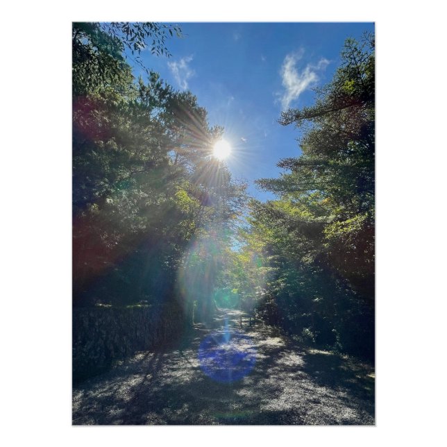Pôster Sacred Light on a Forest Path in Japan (Frente)