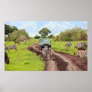 Pôster Safari