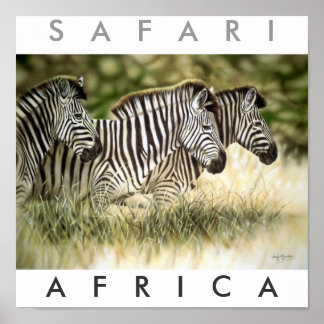Pôster Safari Arica