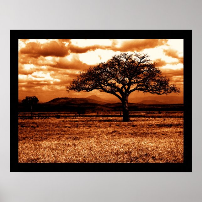 Pôster Safari tanzaniano (Frente)