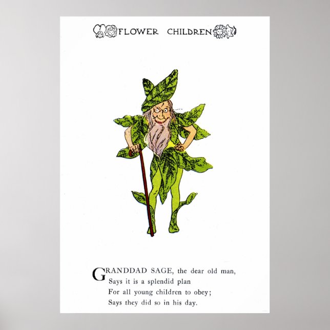 Poster Sage (Frente)