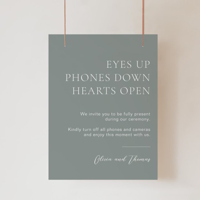 Poster Sage Green Unplugged Ceremony Sign (Criador carregado)