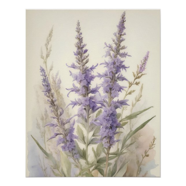 Pôster Sage Russo (Frente)