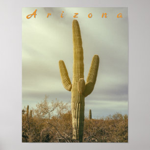 Poster Saguaro