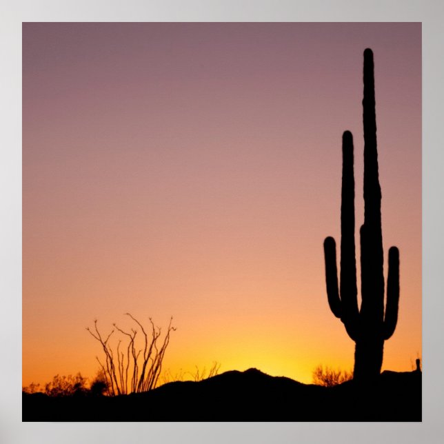 Poster Saguaro Cactus ao pôr do sol (Frente)
