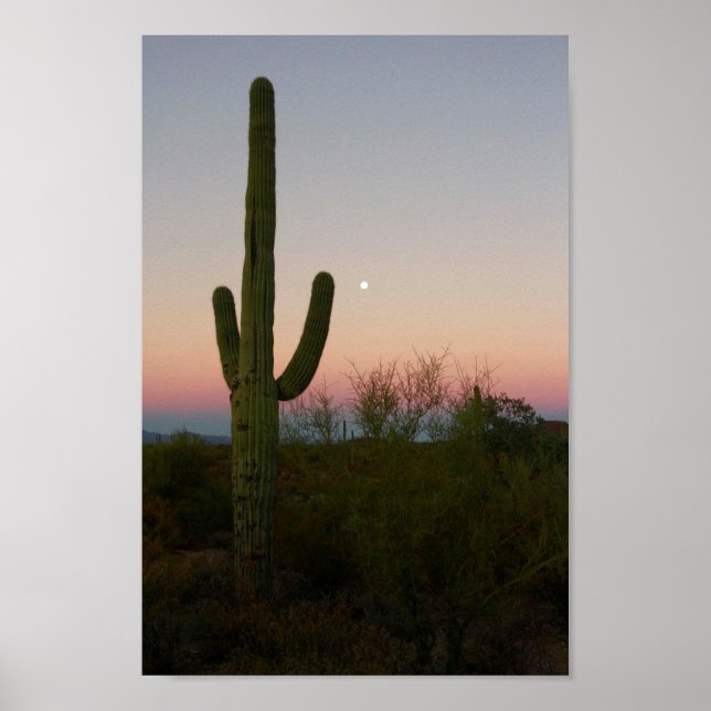 Poster Saguaro Cactus - Foto de Arizona solar (Frente)