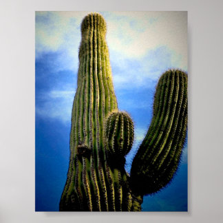 Poster Saguaro Cactus High  Postcard