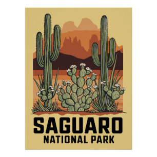 Pôster Saguaro National Park Cactus
