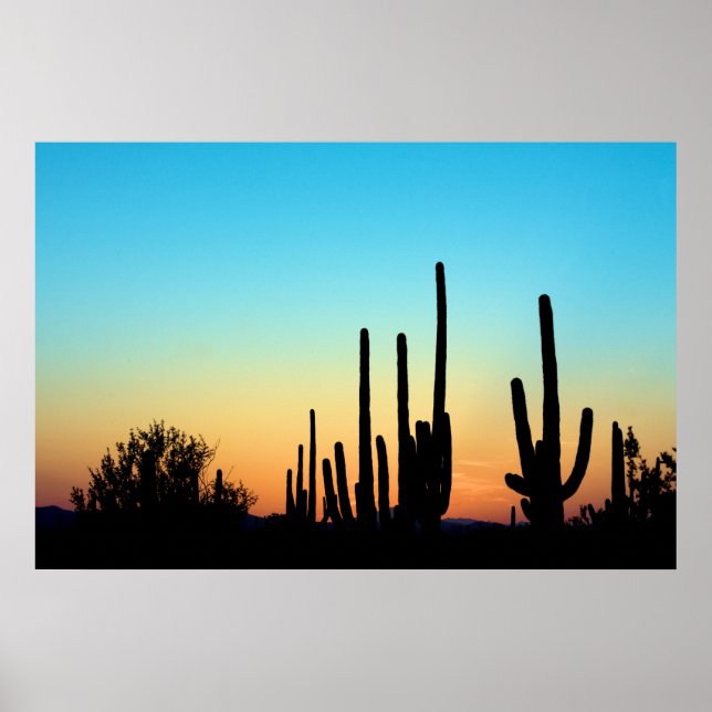 Pôster Saguaro Sunset (Frente)