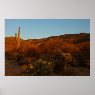 Pôster Saguaro Sunset I Arizona Desert Landscape