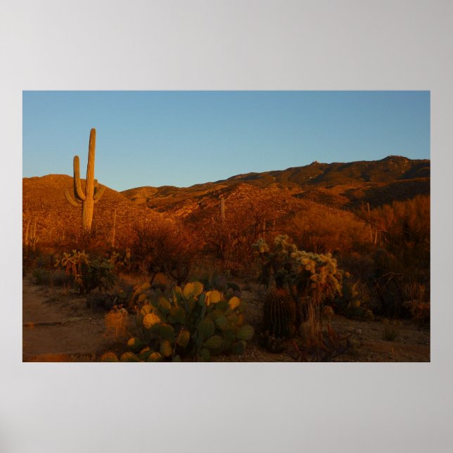 Pôster Saguaro Sunset I Arizona Desert Landscape (Frente)