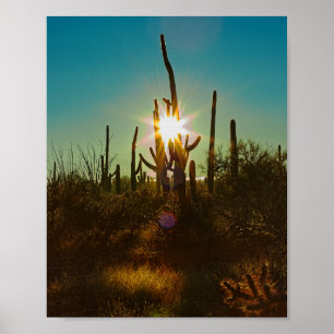 Poster Saguaro Sunstar