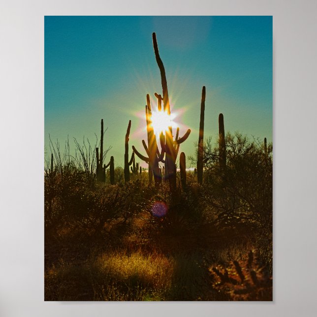 Poster Saguaro Sunstar (Frente)