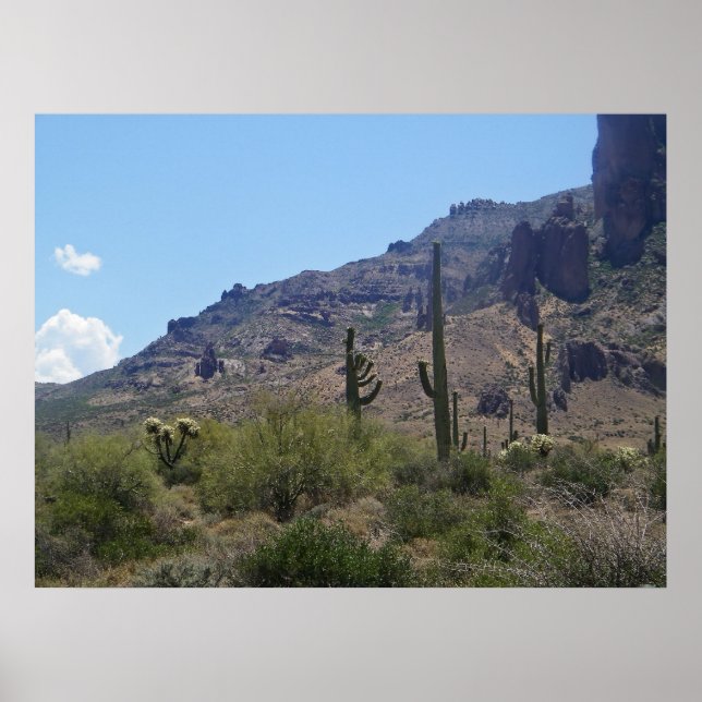 Pôster saguaros and mountains print (Frente)