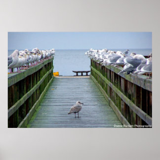 Poster Saia na multidão