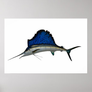 Pôster Sailfish