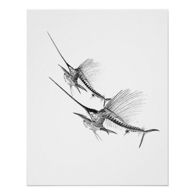 Pôster Sailfish Skeleton Fisherman (Frente)