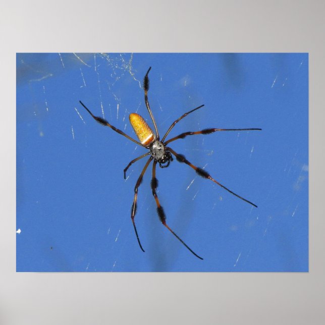 Poster Saindo (Frente)