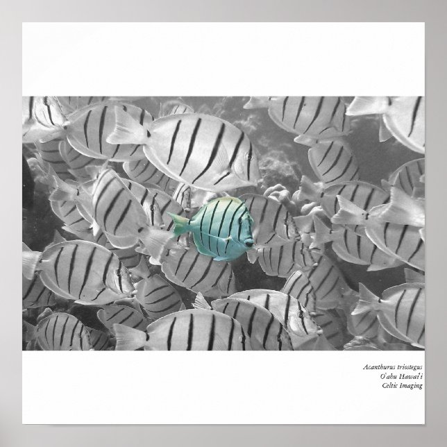 Poster Saindo da multidão (Frente)