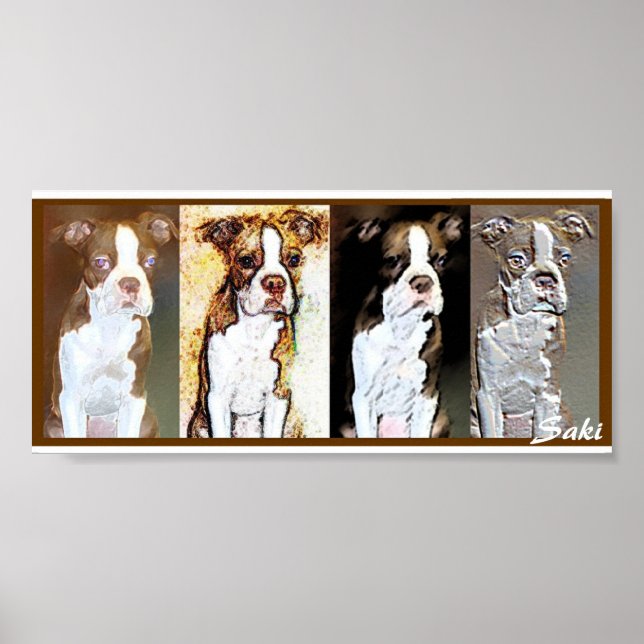 Pôster saki (Frente)