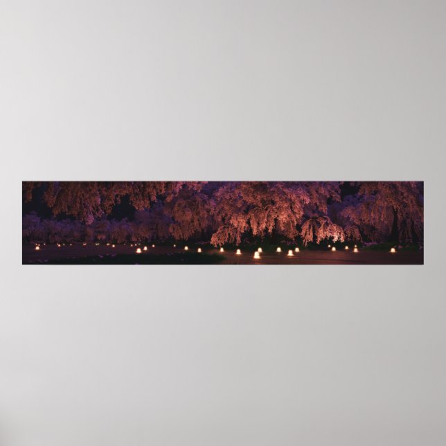 Poster Sakura (Noite) Panorama (Frente)