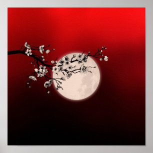 Poster Sakura - white blossom - moon