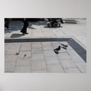 Poster Sala para tudo!