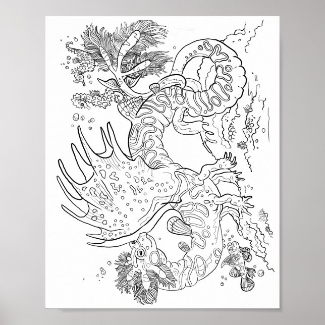 Poster Salamandarin Sea Dragon Line Art Colore seu (Frente)