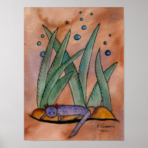 Pôster Salamandra de Barton Springs