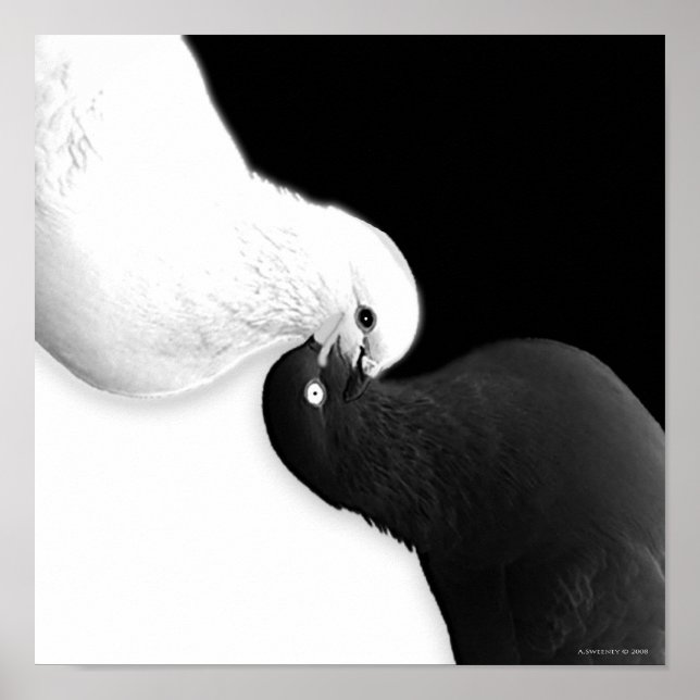 Pôster Saldo por B e BB (Frente)