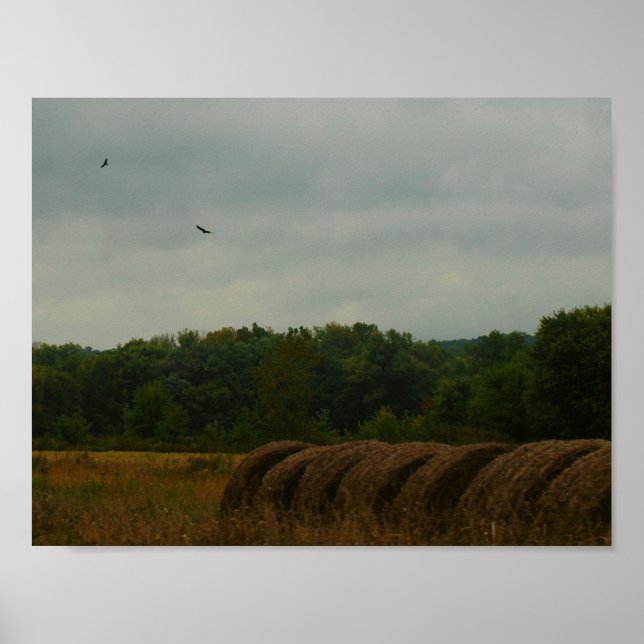 Poster Saldos do País (Frente)