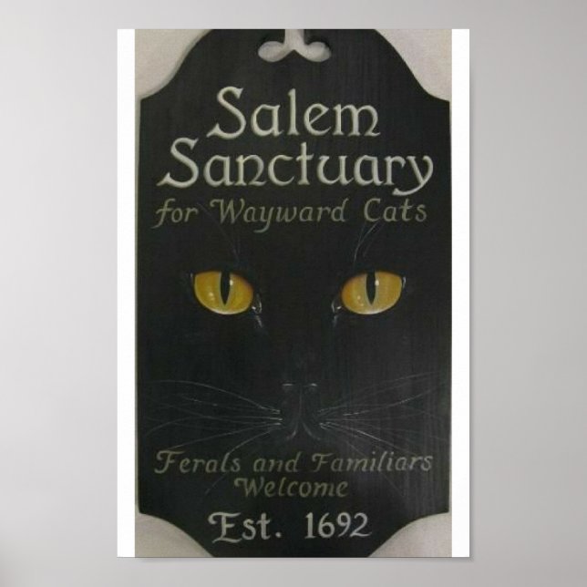 Poster Salem Sanctuary (Frente)