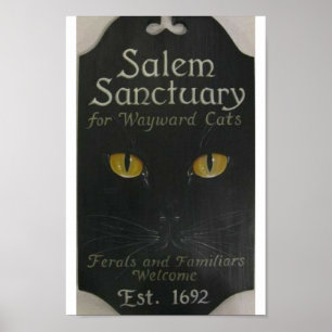 Poster Salem - Santuário