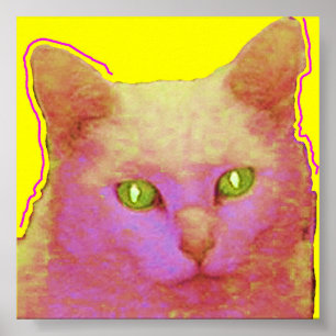 Pôster Sally