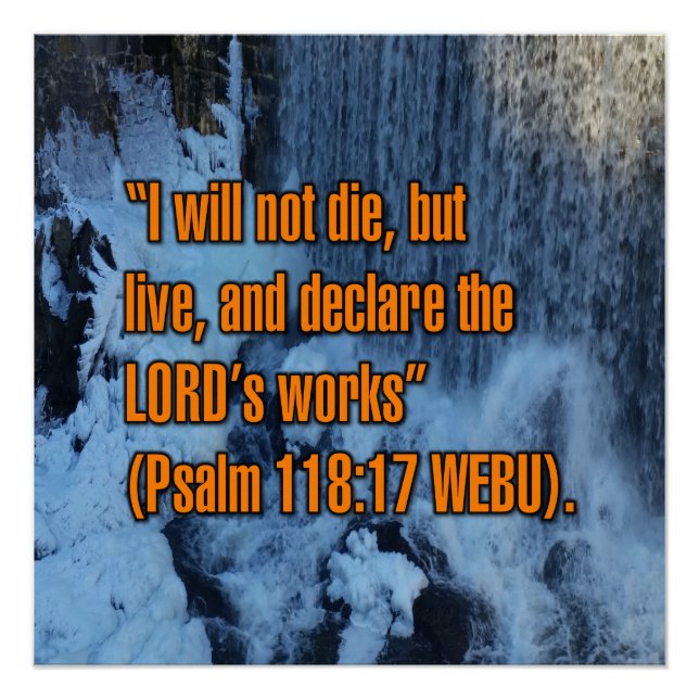 Pôster Salmo 118:17 WEBU (Frente)
