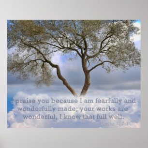 Poster Salmo 139: Eu sou criado temìvel e