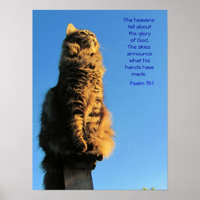 Poster Salmo 19:1 Angel Cat Meme (Frente)