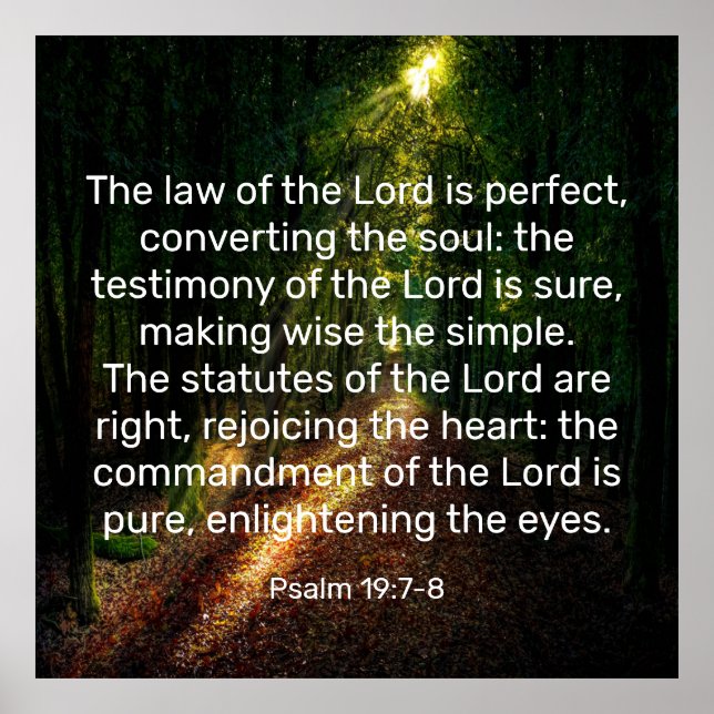 Poster Salmo 19:7-8 (Frente)