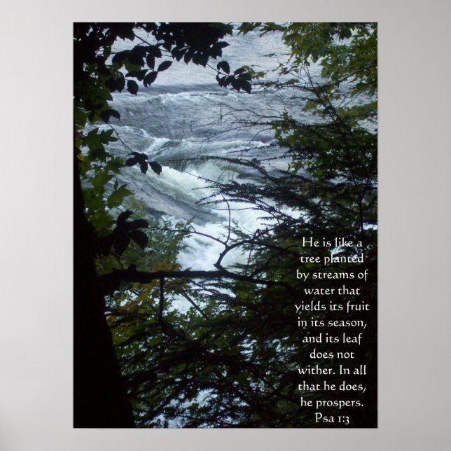 Poster Salmo 1:3 (Frente)