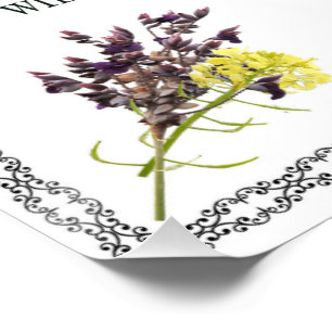 Pôster Salmo 1, Design De Flor Amarelo Cor-De-Rosa, Abenç