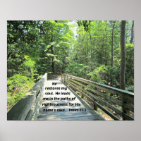 Salmo 23:3 Ele restaura minha alma, Ele me conduz 