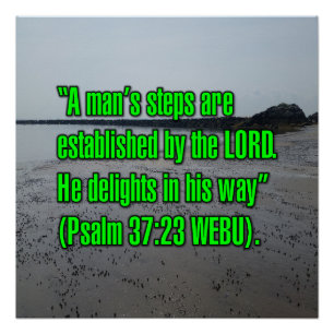 Pôster Salmo 37:23 WEBU