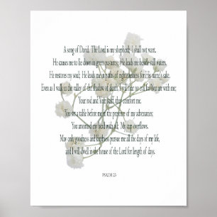Poster Salmo, Flor Branca, Cartaz de Valor Papel (Matte)