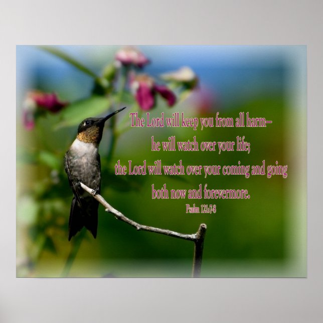 Poster Salmo Hummingbird 121:7-8 (Frente)