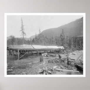 Poster Salmões de secagem em Alaska 1915